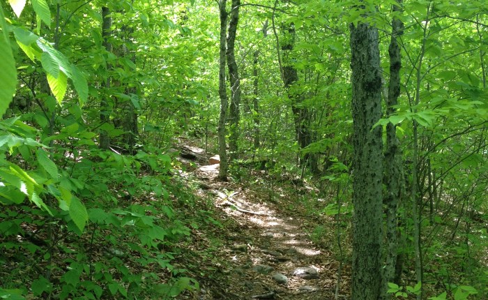 The First Step to Backpacking: Eat Well